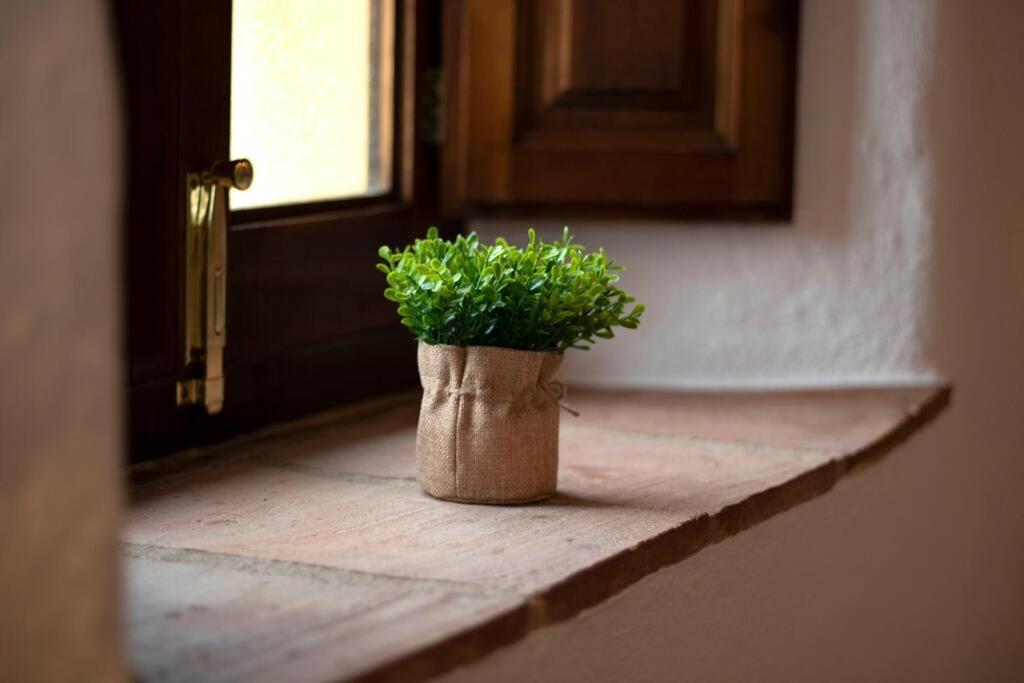 Casabenadalid. Casa Rural Con Piscina. Eksteriør billede